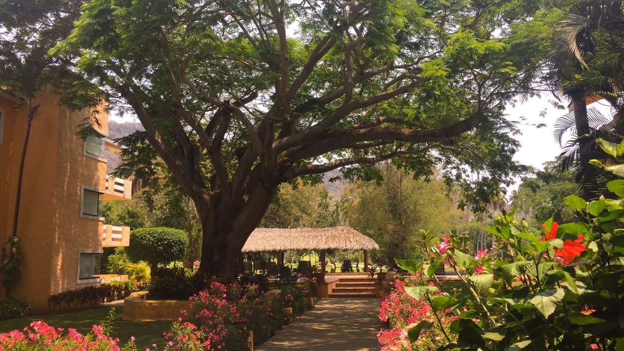 Photo of Outdoor in Ixtapa
