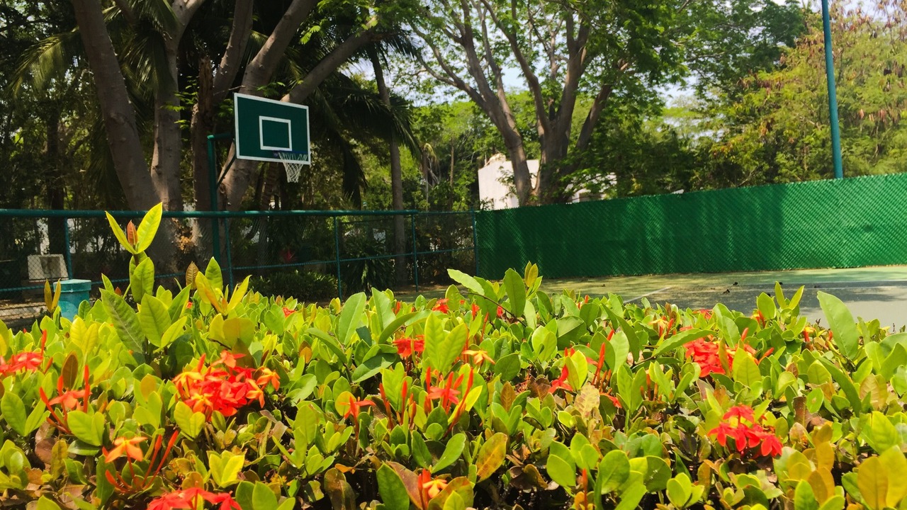Photo of Outdoor in Ixtapa