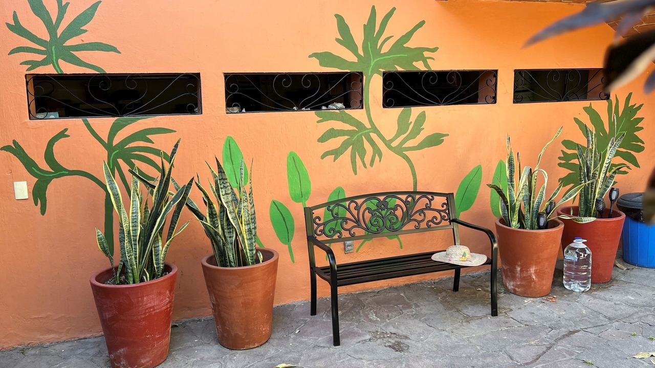 Photo of Patio Balcony in Ajijic