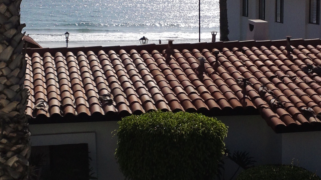 Photo of Patio Balcony in La Paloma