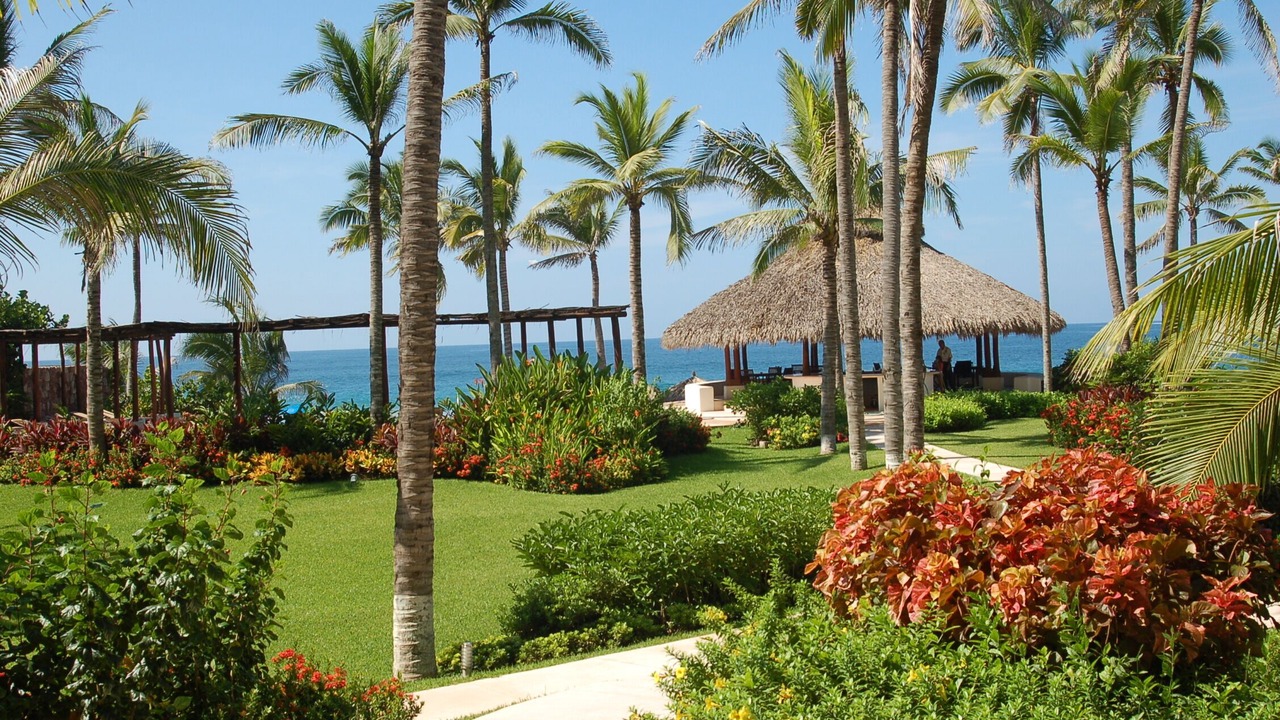 Photo of Others in Ixtapa