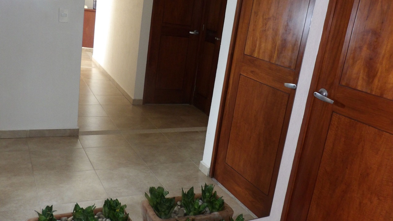 Photo of Others in Ixtapa