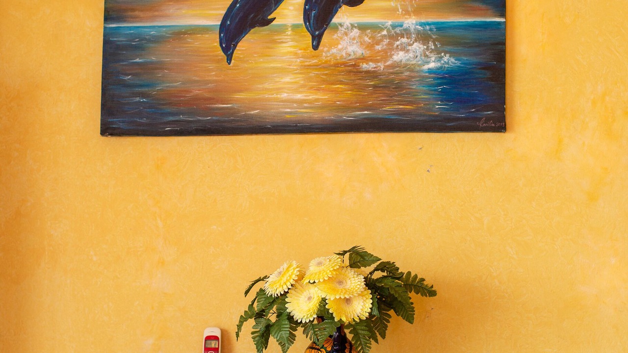 Photo of Others in Downtown Puerto Vallarta