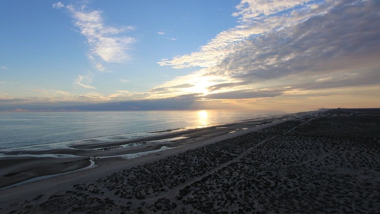 Photo of Others in Puerto Penasco