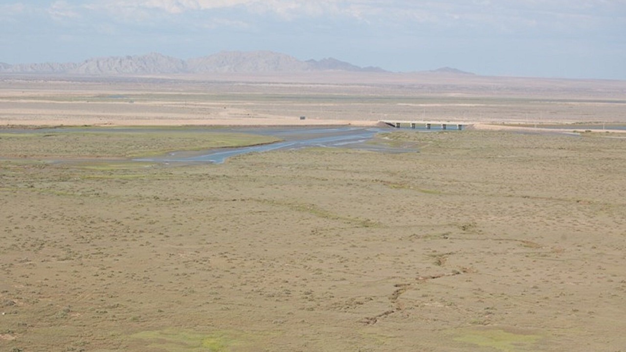 Photo of Others in Puerto Penasco