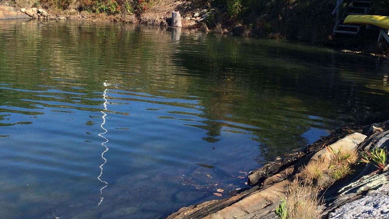 Photo of Others in Round Pond