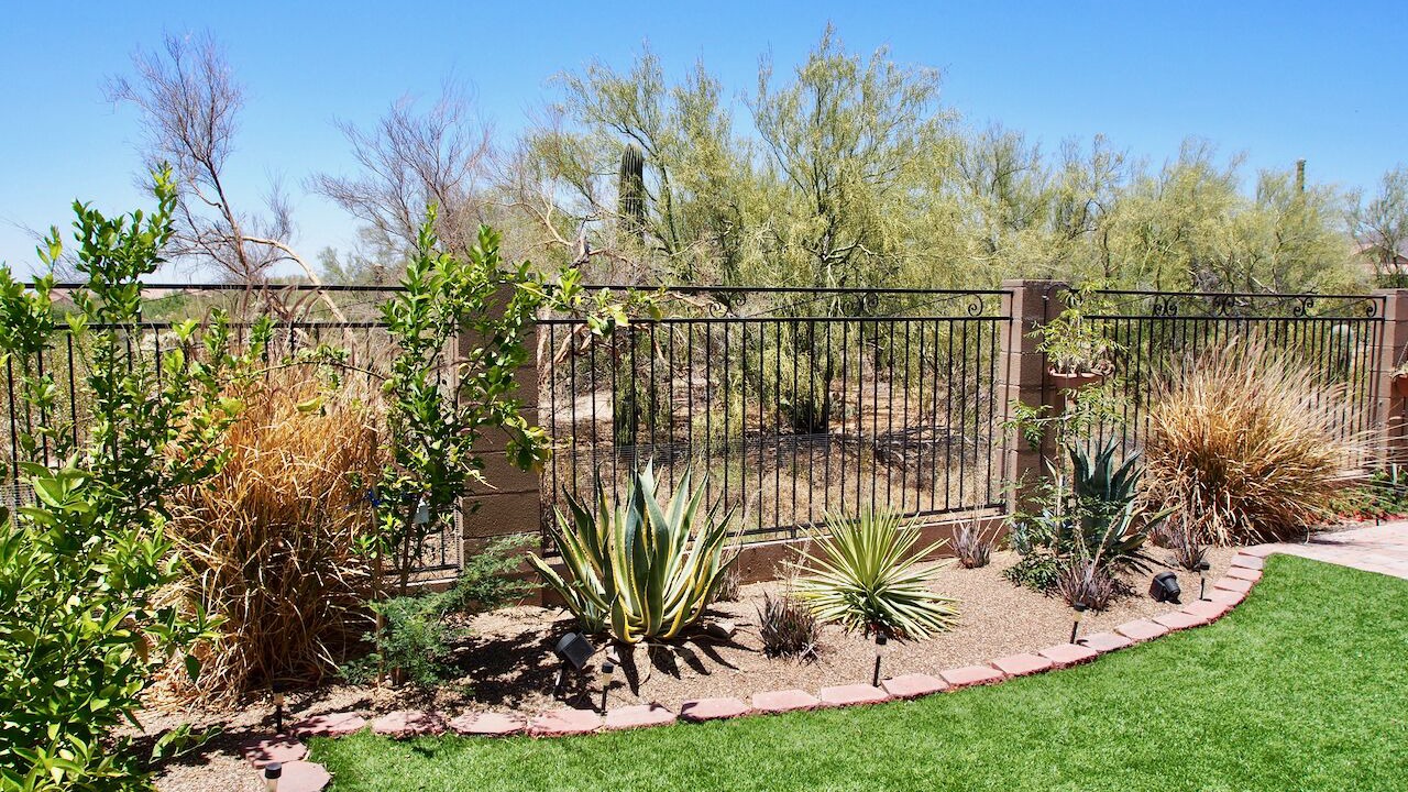 Photo of Outdoor in Dove Mountain