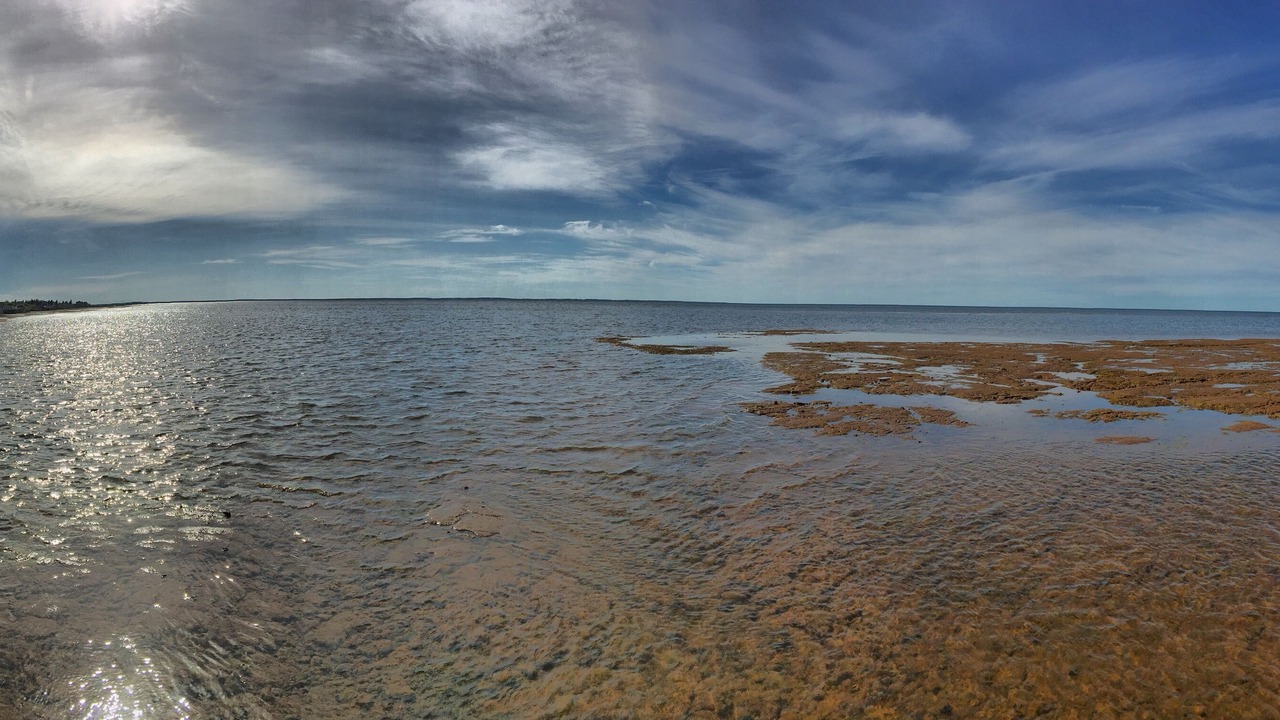 Photo of Others in Grand Barachois