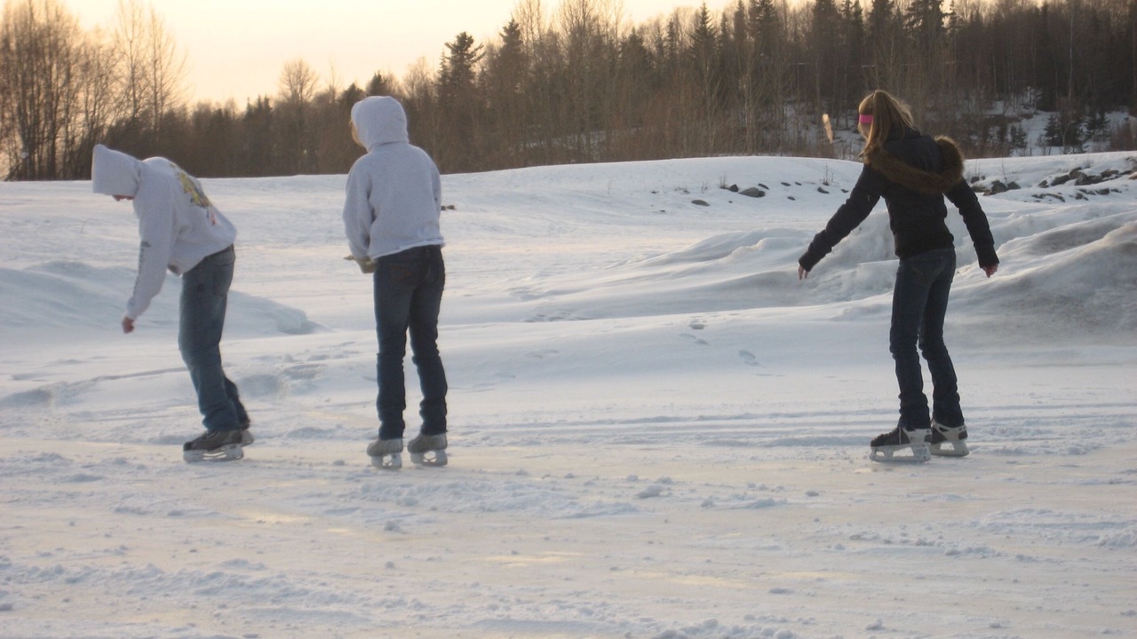 Photo of Others in Turnagain