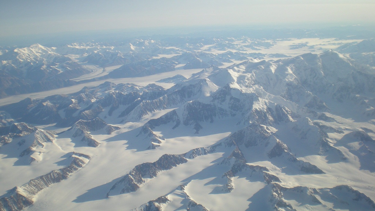 Photo of Others in Turnagain