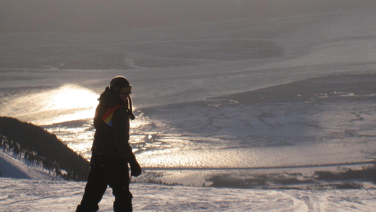Photo of Others in Turnagain