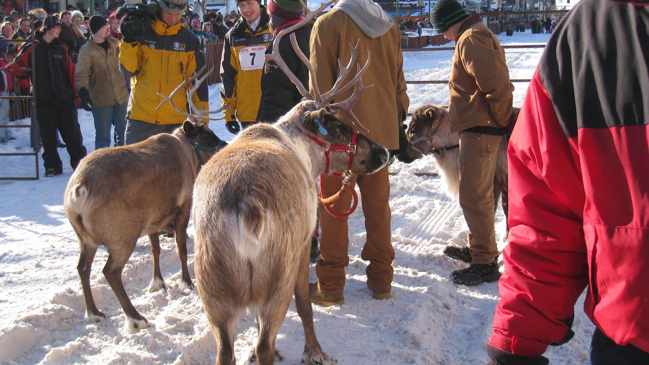 Photo of Others in Turnagain