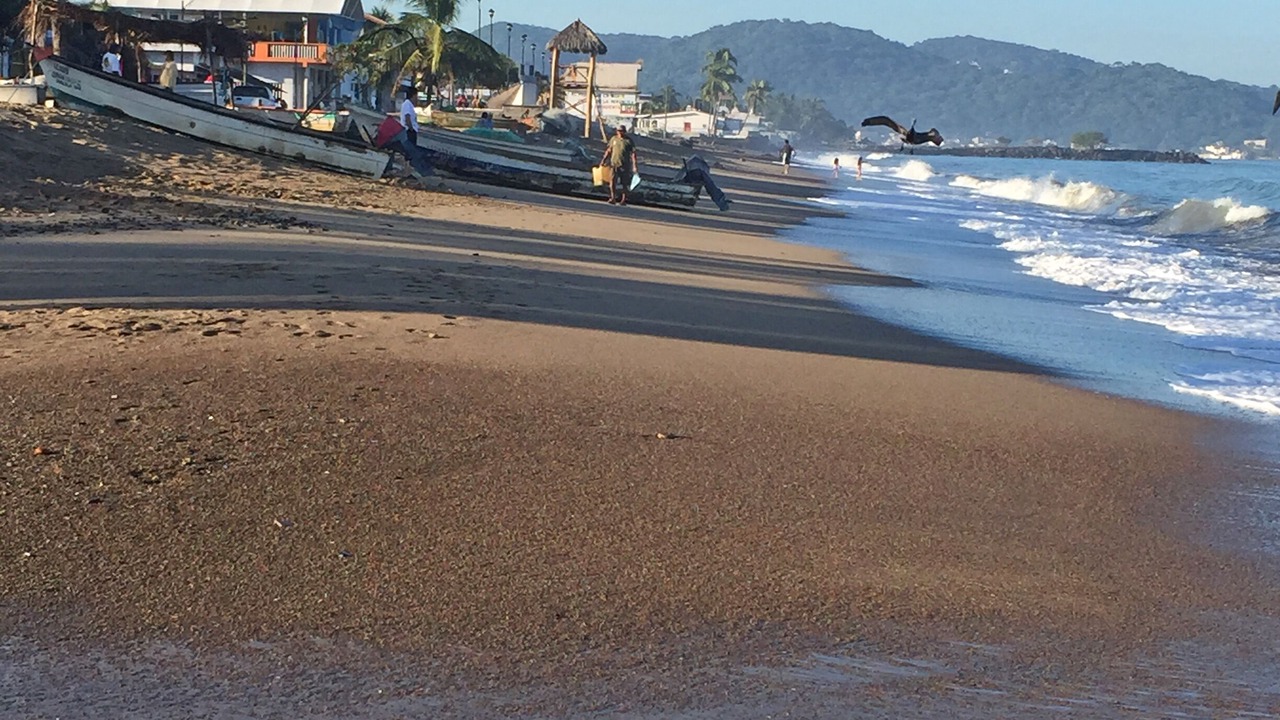 Photo of Others in Los Pescadores