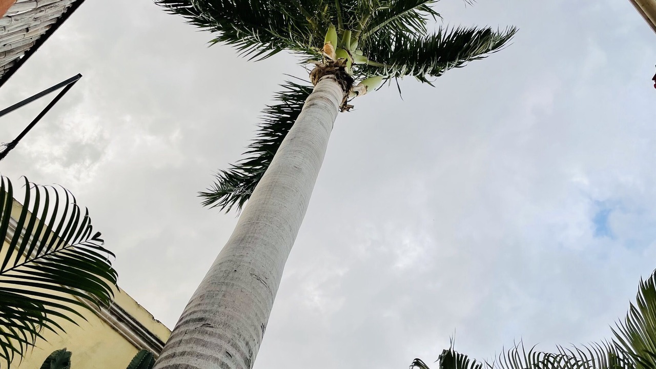 Photo of Outdoor in Barrio de Santiago