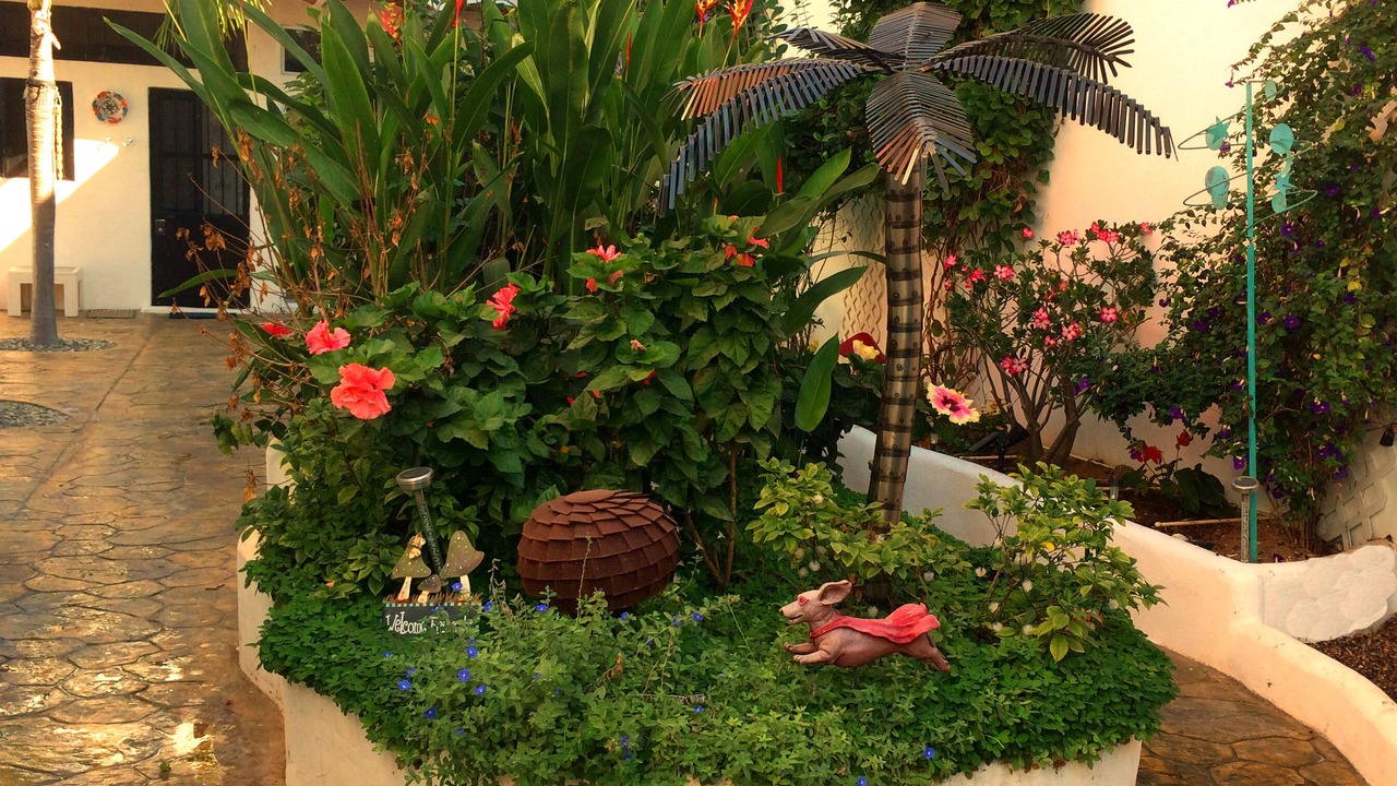 Photo of Outdoor in Los Pescadores
