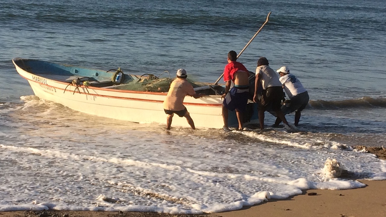 Photo of Others in Los Pescadores
