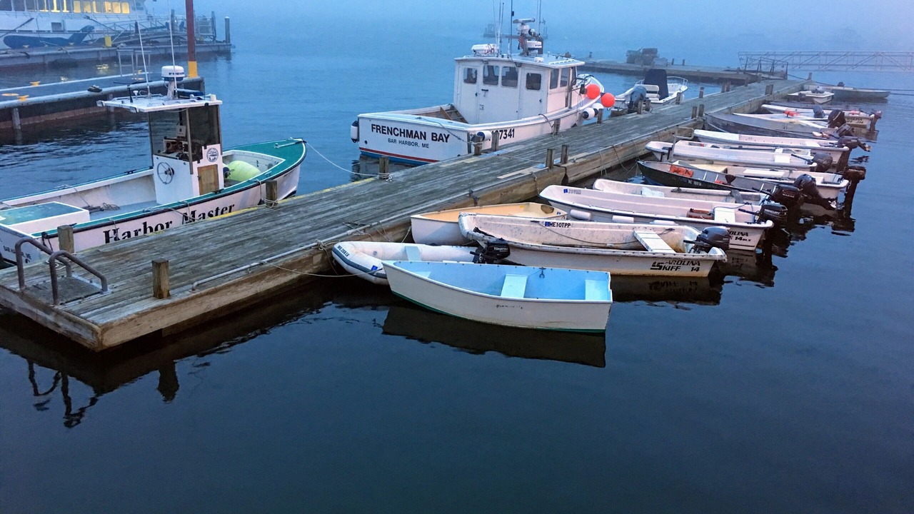 Photo of Others in Bar Harbor