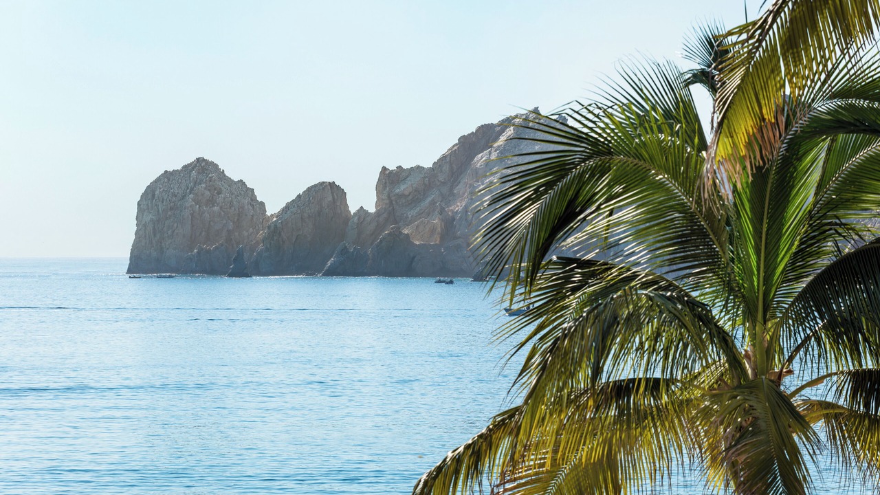 Photo of Others in El Medano Ejidal