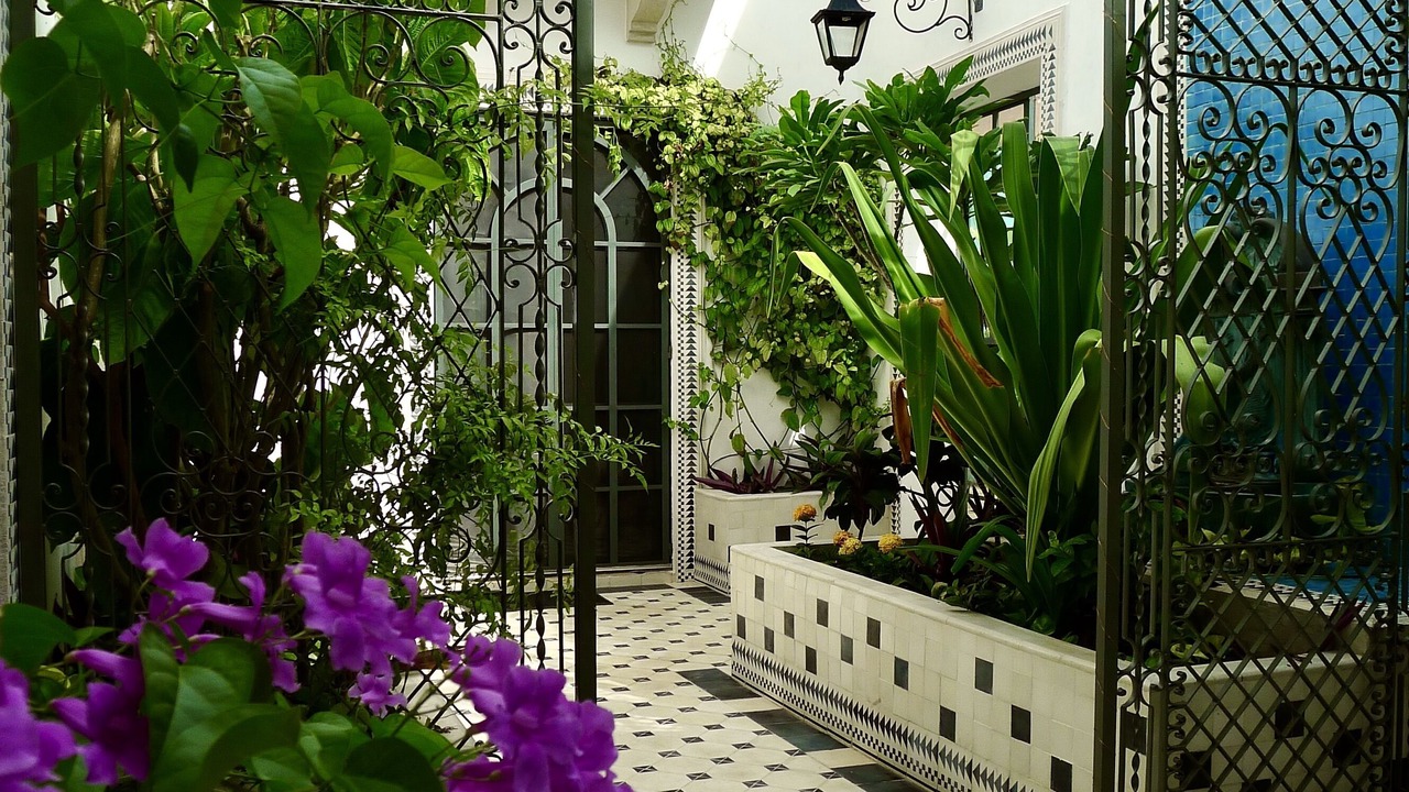 Photo of Outdoor in Centro