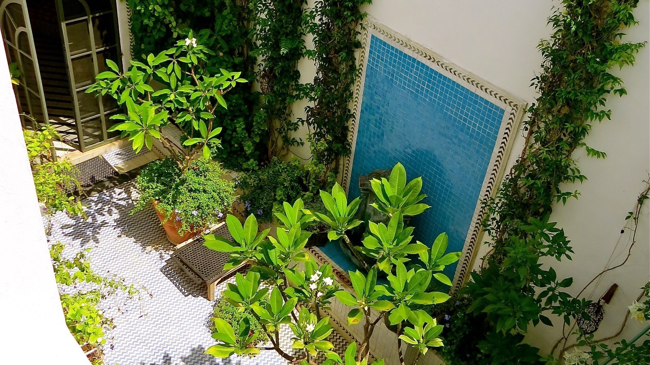 Photo of Outdoor in Centro