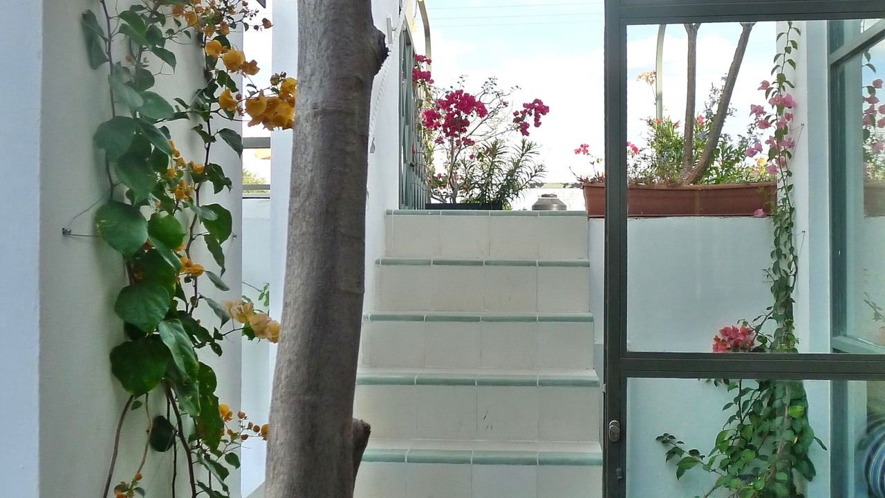 Photo of Outdoor in Centro