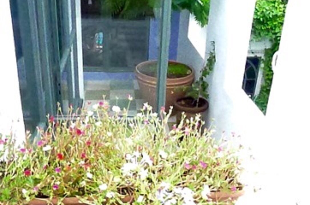 Photo of Outdoor in Centro