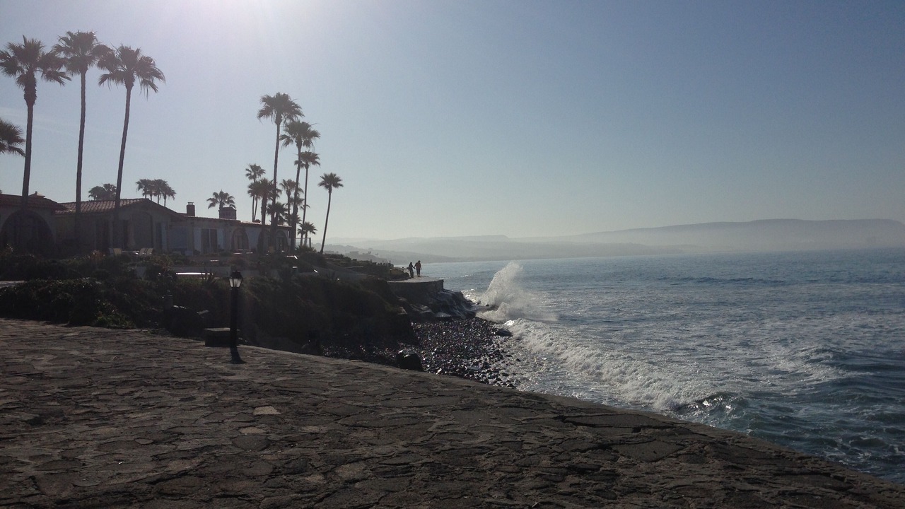 Photo of Others in Las Gaviotas
