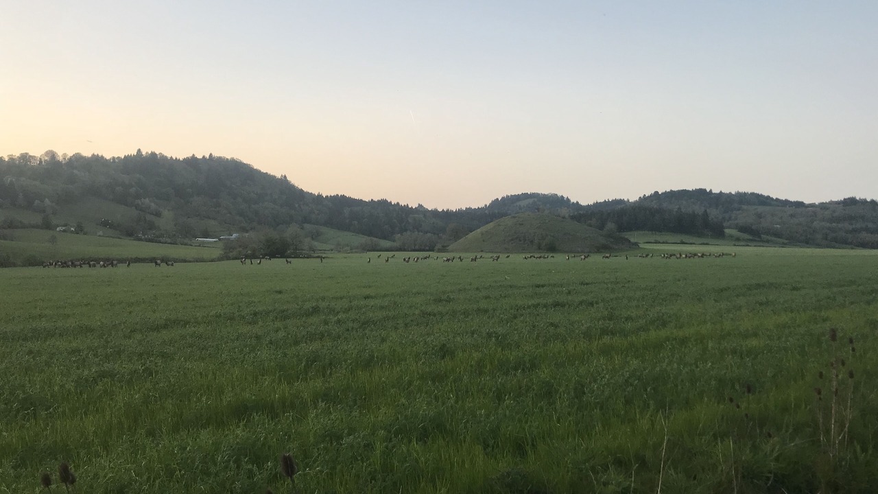 Photo of Outdoor in McMinnville
