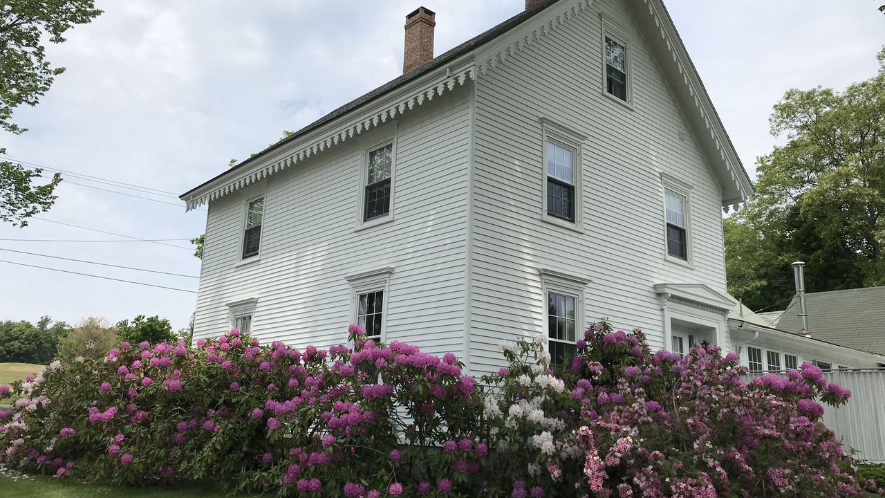 Photo of Outdoor in Castine