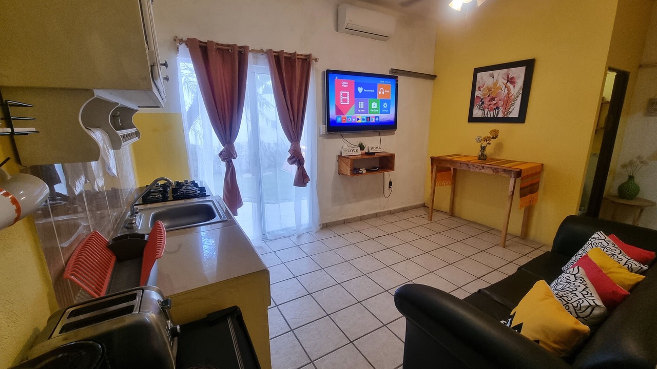 Photo of Livingroom in Puerto Vallarta