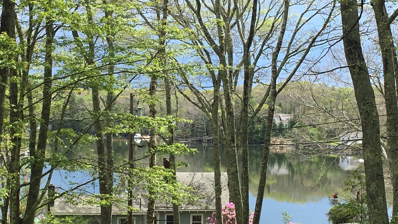 Photo of Outdoor in East Boothbay