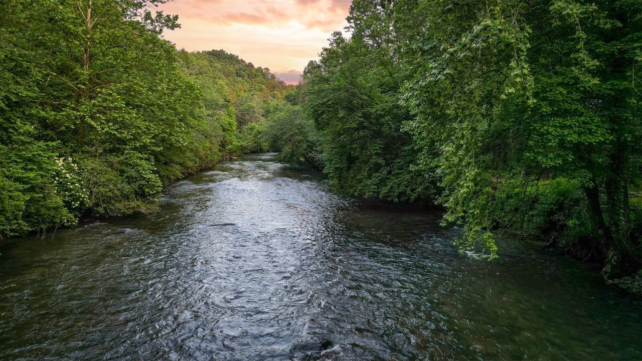 Photo of Others in East Ellijay