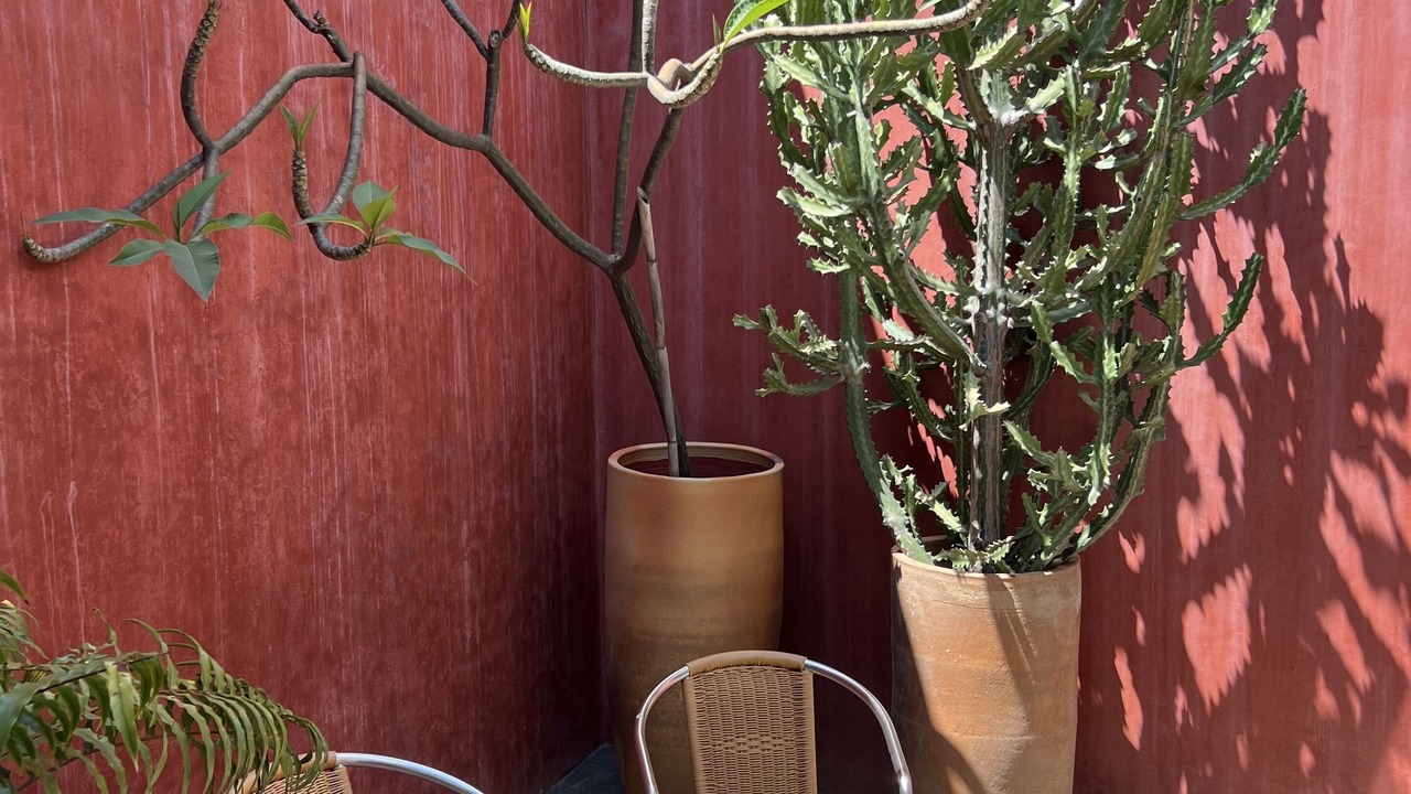Photo of Outdoor in Oaxaca