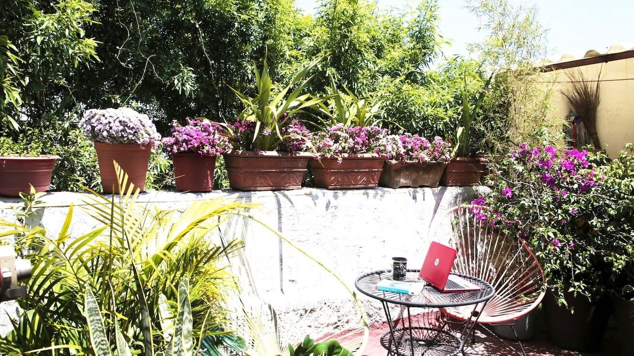 Photo of Outdoor in Colonia Roma
