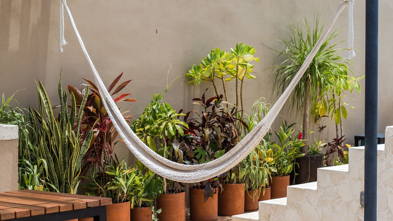 Photo of Patio Balcony in Zama