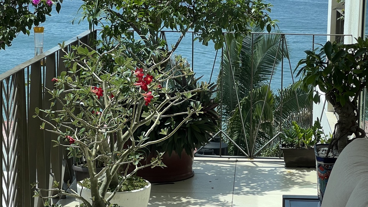 Photo of Patio Balcony in Amapas