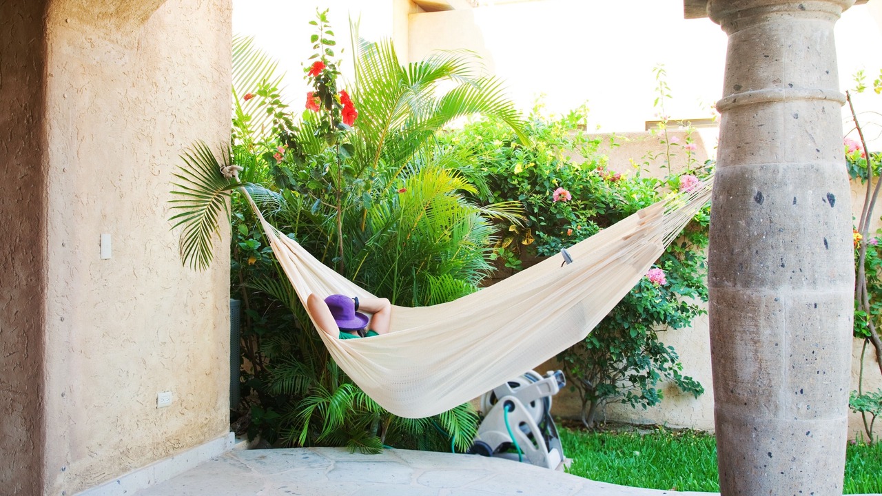Photo of Others in San Jose del Cabo