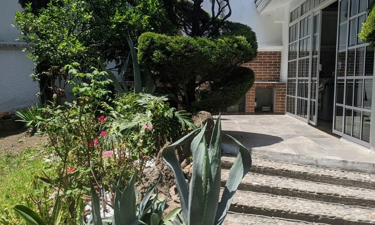 Photo of Outdoor in Puebla