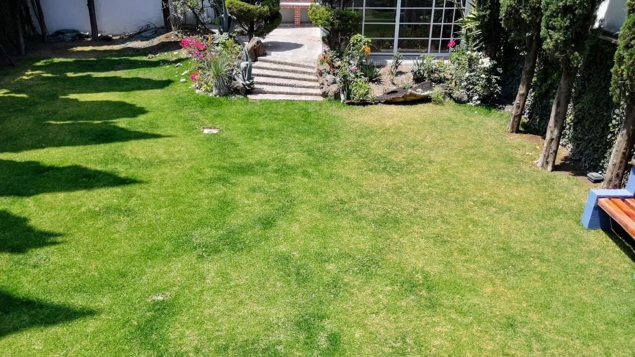 Photo of Outdoor in Puebla