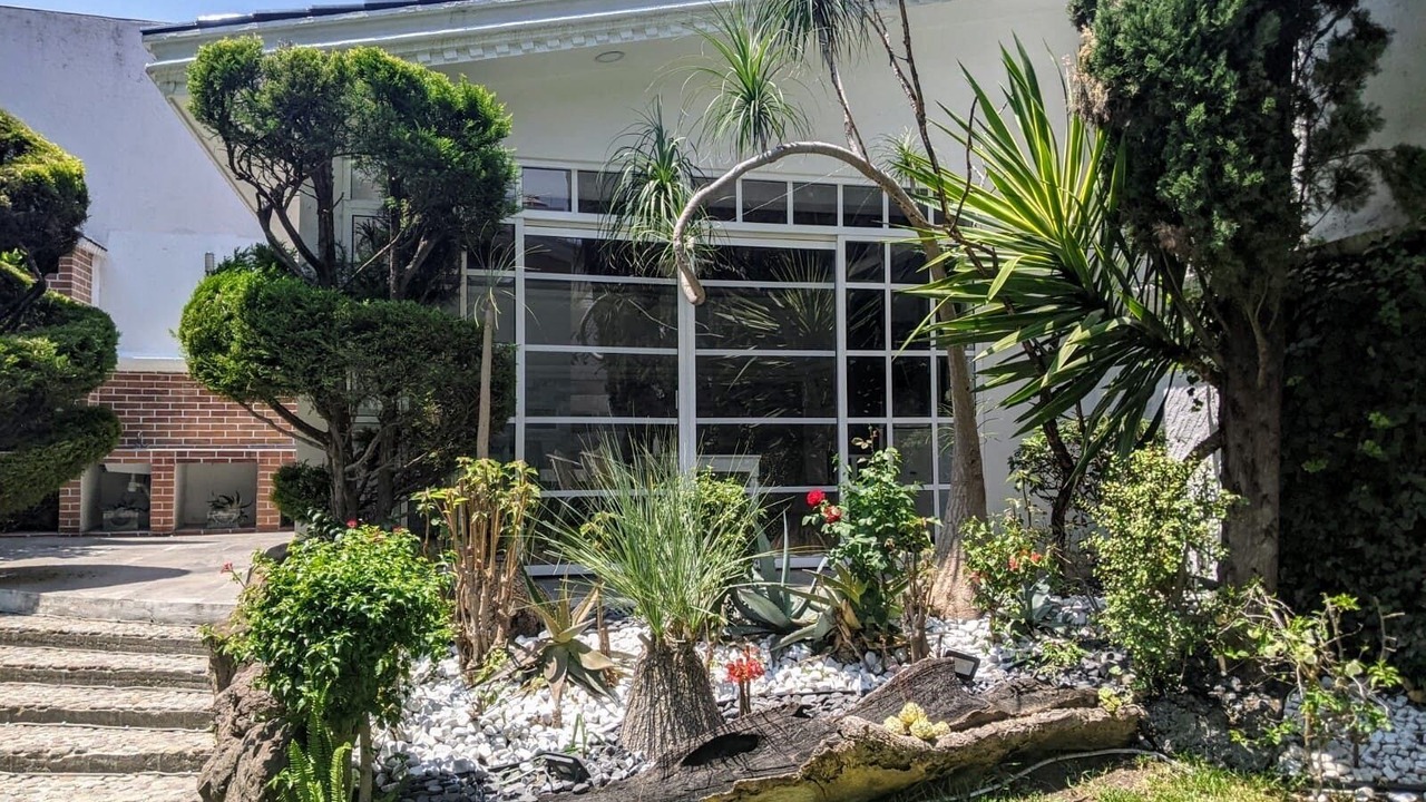 Photo of Outdoor in Puebla