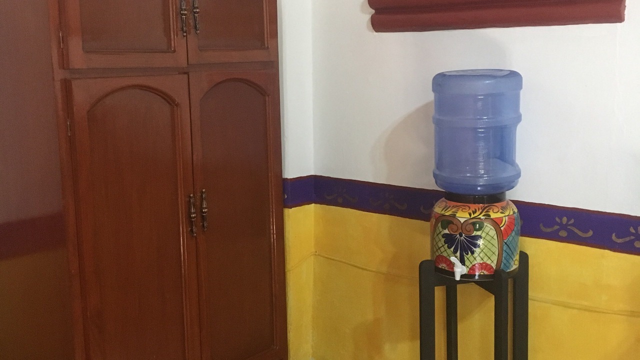 Photo of Others in Ajijic
