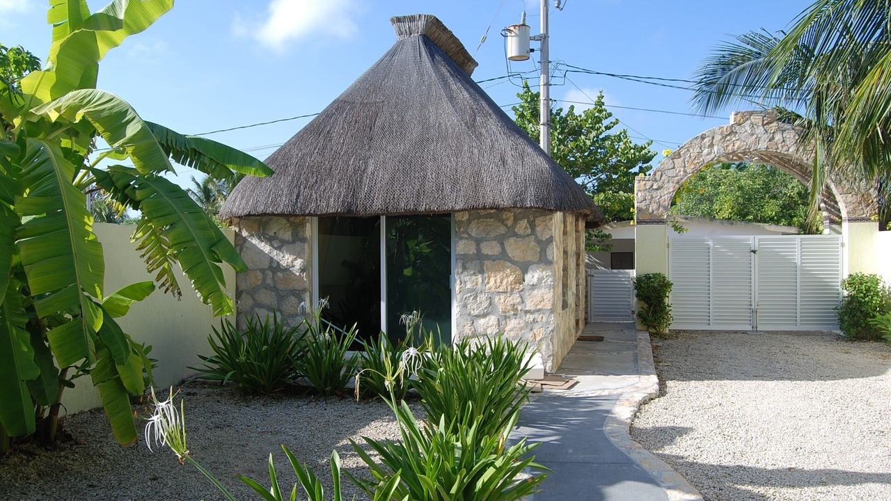 Photo of Outdoor in Yucatan Peninsula