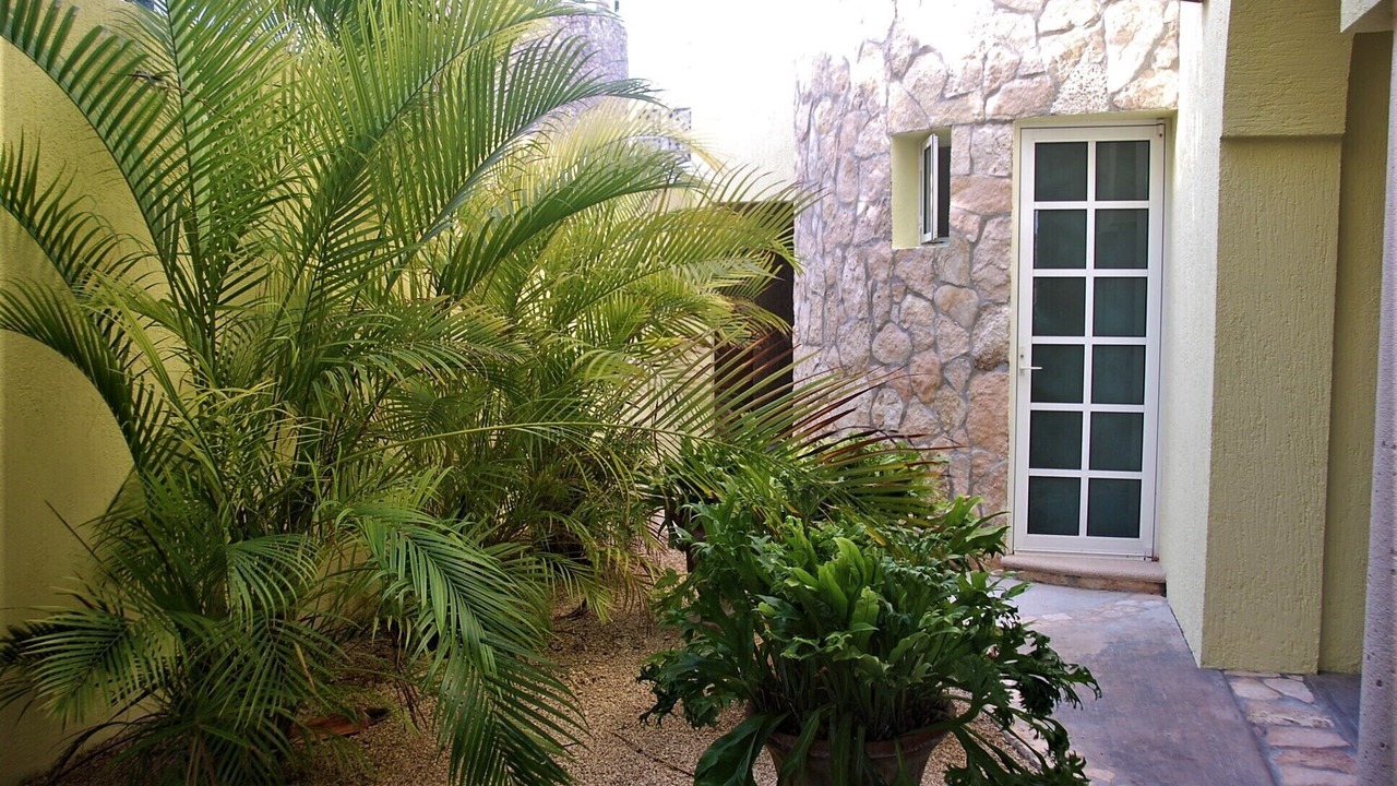 Photo of Outdoor in Yucatan Peninsula