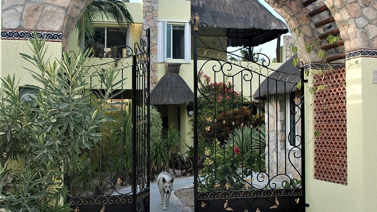 Photo of Outdoor in Yucatan Peninsula