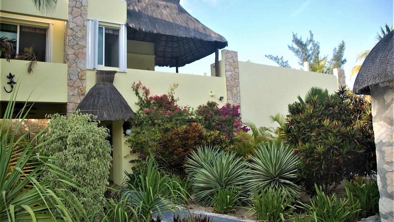 Photo of Outdoor in Yucatan Peninsula