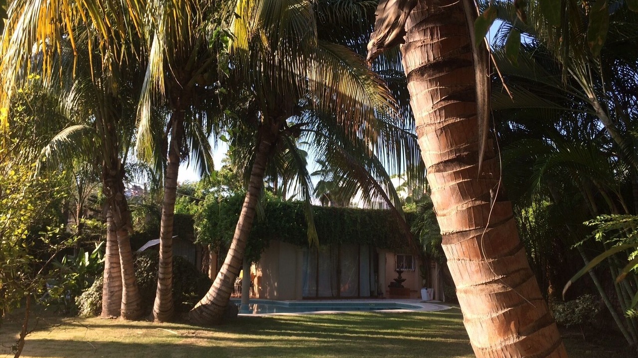 Photo of Outdoor in La Cruz de Huanacaxtle
