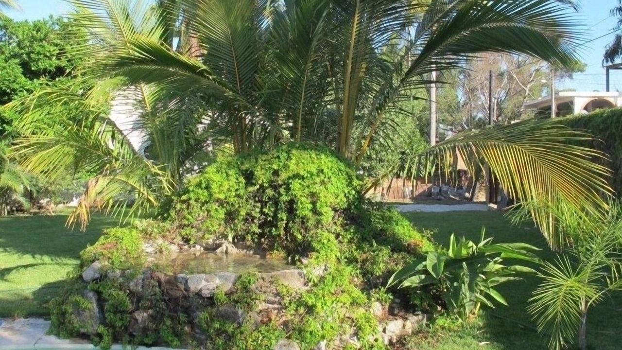 Photo of Others in La Cruz de Huanacaxtle