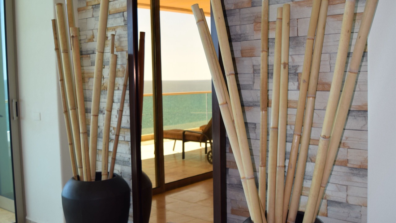 Photo of Livingroom in Las Conchas