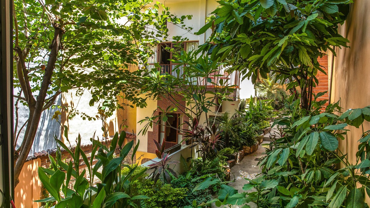 Photo of Outdoor in Alta Vista