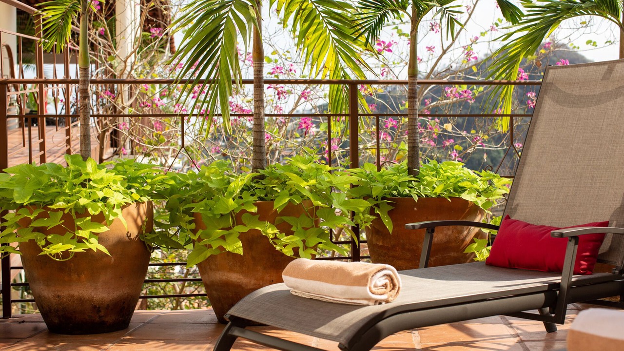Photo of Patio Balcony in Alta Vista